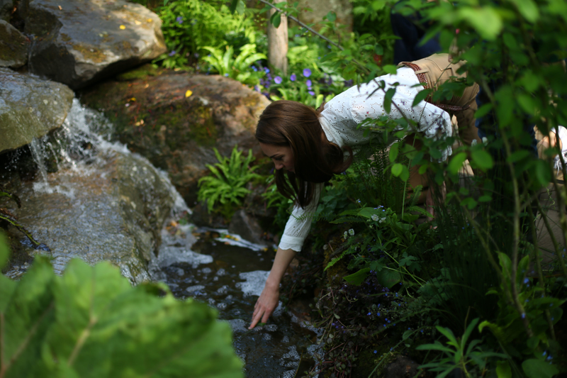 Illustration for article titled Here's Kate Middleton by a Babbling Brook